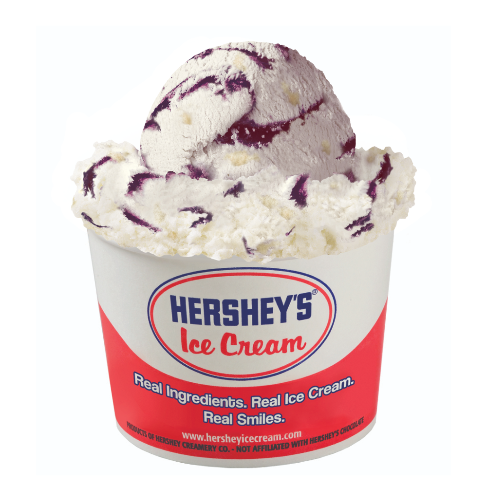 Blueberry Cheesecake Ice Cream Cup