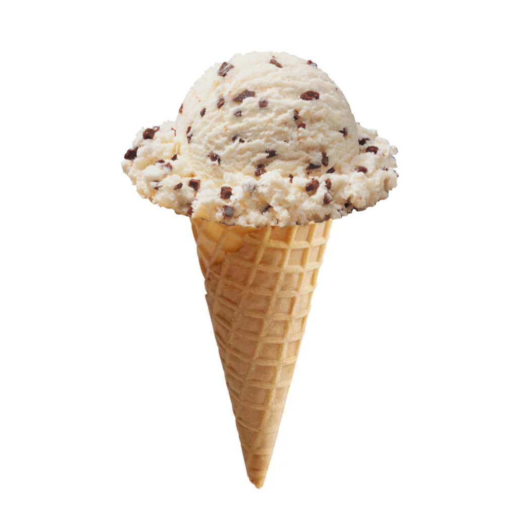 Chocolate Chip Ice Cream Cone