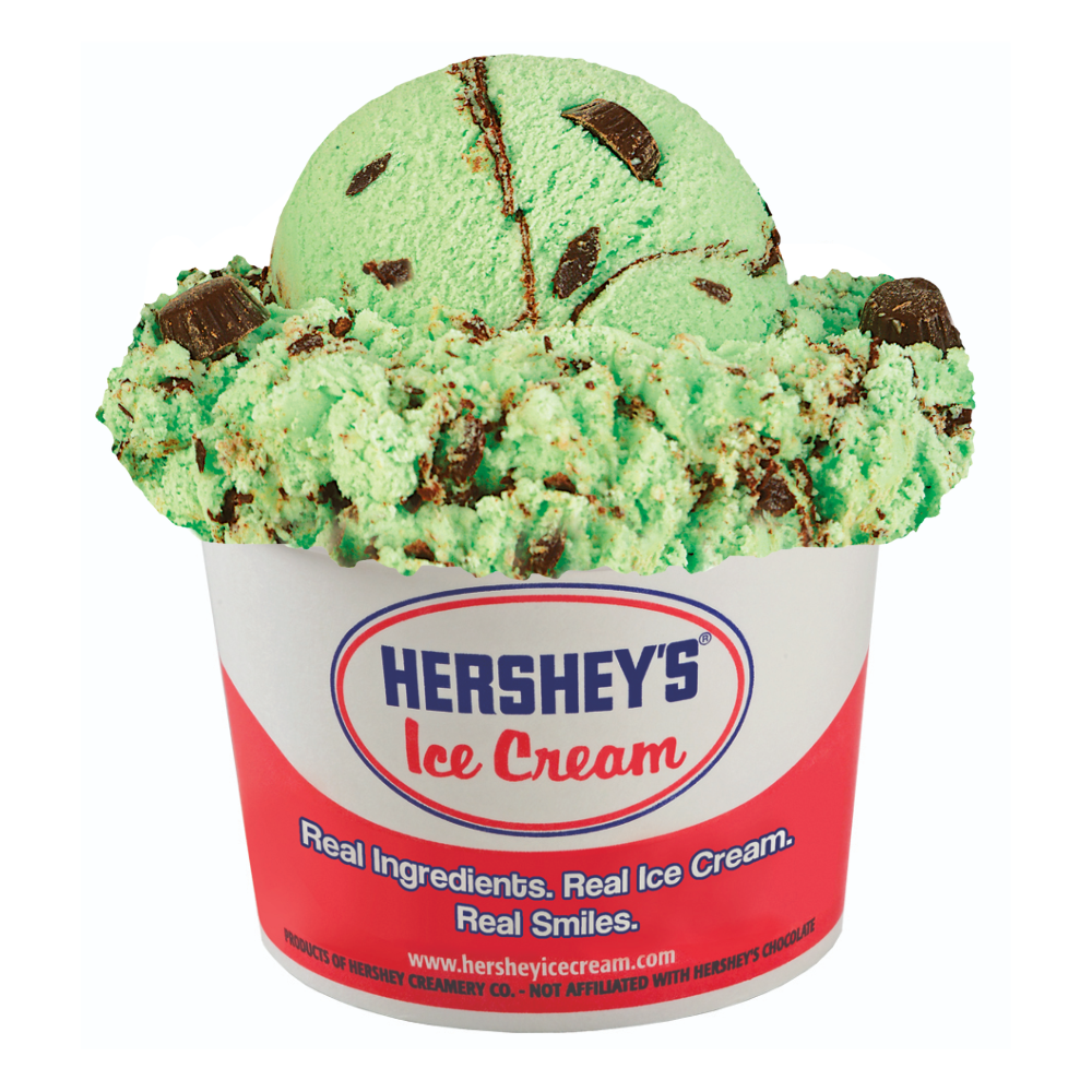 Mint Moose Tracks Ice Cream Cup