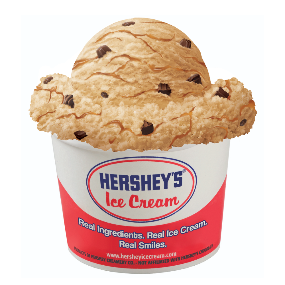 Salty Caramel Truffle Ice Cream Cup