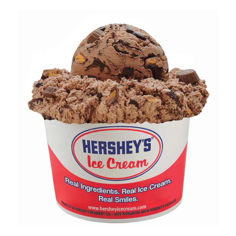 Chocolate Moose Tracks  Ice Cream Cup