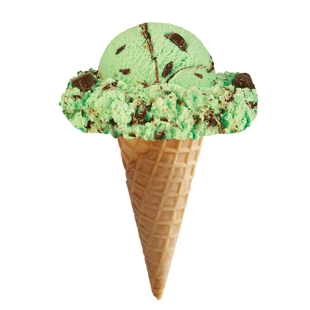 Mint Moose Tracks Ice Cream Cone