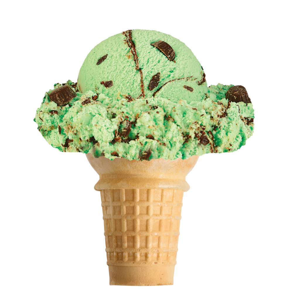 Mint Moose Tracks Ice Cream Cone