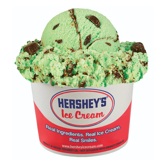 Mint Moose Tracks  Ice Cream Cup